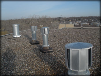 Flat Roof Picture