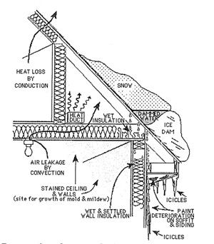 Ice Dam Removal