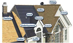 Roofing Picture